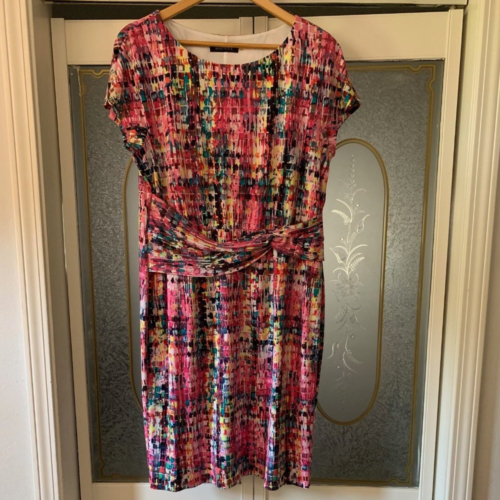 Ellen Tracy Multi-Color Dress, Size 14